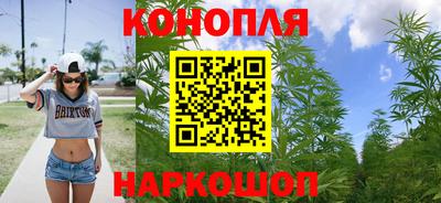 мяу мяу мука Нальчик