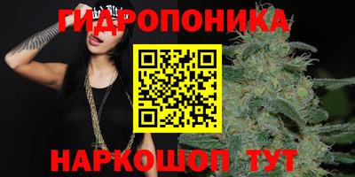 хмурый Новозыбков