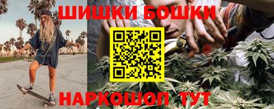 шишки Новодвинск