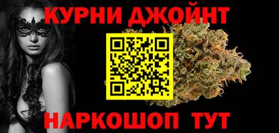 шишки Новодвинск