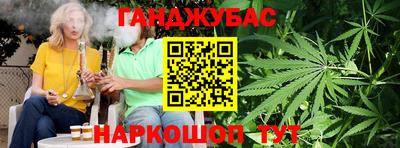 шишки Новодвинск