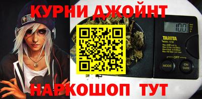 шишки Новодвинск