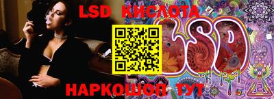 шишки Новодвинск