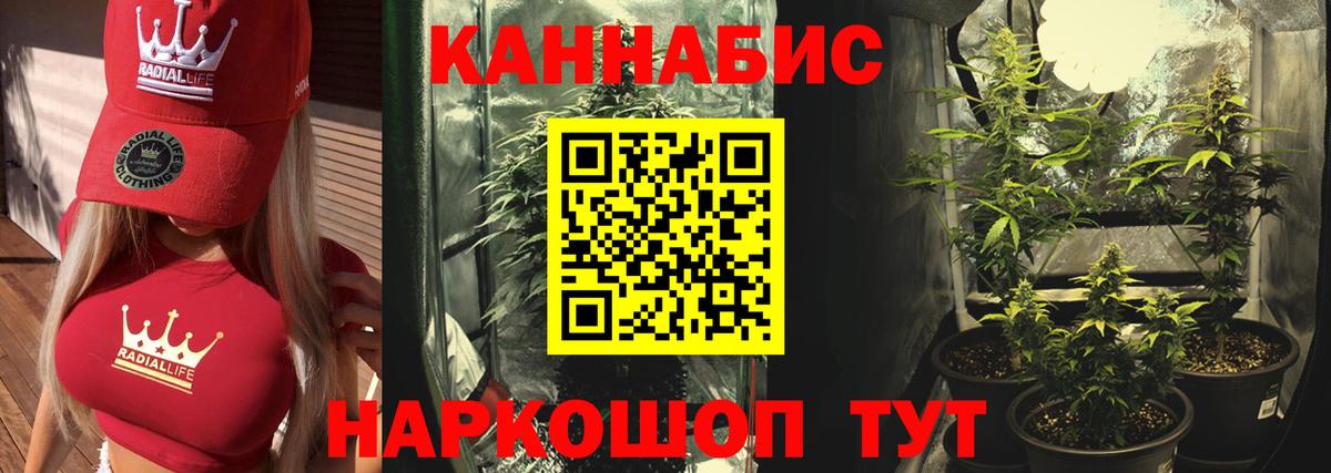 Канабис SATIVA & INDICA  Бошки Шишки конопля  Канабис ГИДРОПОН  Реж  Вход с VPN 